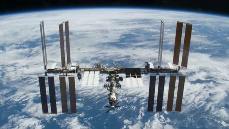 Auf der Raumstation ISS werden Pflanzensamen jetzt monatelang den harten Bedingungen im Weltall ausgesetzt. (Bild: NASA)