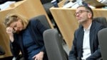 Beate Meinl-Reisinger ist eines der Lieblingsziele von Herbert Kickls politischer Attacken.