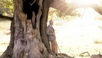 König Charles zeigt sich zu seinem 74. Geburtstag naturverbunden und ehrt das Andenken seines Vaters. (Bild: CHRIS JACKSON / BUCKINGHAM PALACE / AFP)