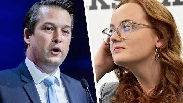 Wiens FPÖ-Landeschef Dominik Nepp hat einen offenen Brief an Ex-ÖVP-Generalsekretärin Laura Sachslehner geschrieben. (Bild: APA, Krone KREATIV)