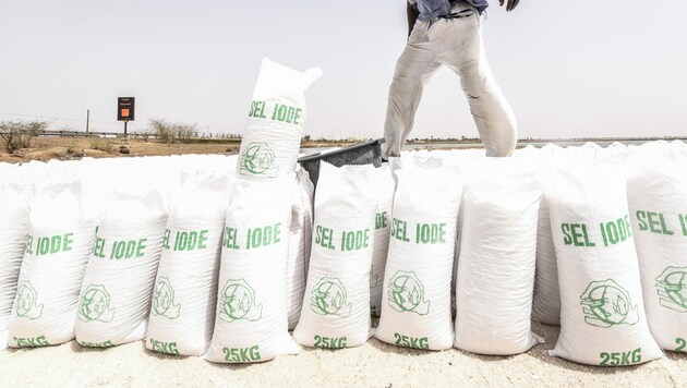 Senegal ist der größte Salzproduzent Westafrikas. Seine Produktion wird hinsichtlich des Jodgehalts reguliert und kontrolliert. (Bild: AFP)