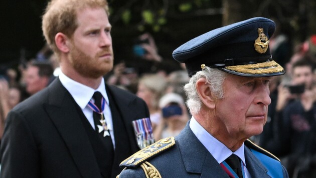 König Charles und Sohn Prinz Harry (Bild: AFP)