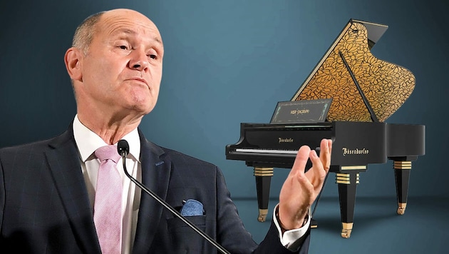 Wolfgang Sobotka und sein Klavier regen auf. (Bild: APA/Roland Schlager, Screenshot Bösendorfer, Krone KREATIV)