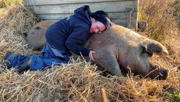 Bei Claudia Haupt leben die großen, sensiblen Tiere in Liebe und Geborgenheit. (Bild: Christian Schulter)