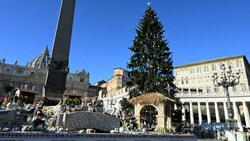 Der Weihnachtsbaum im Vatikan im Jahr 2021. (Bild: Vincenzo PINTO / AFP)
