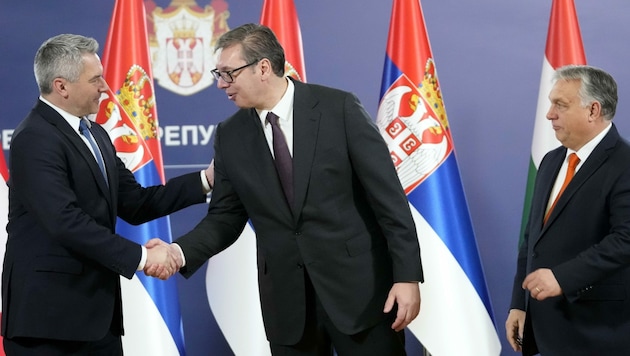Drei-Länder-Treffen zwischen Nehammer, Vucic und Orban (Bild: AP)
