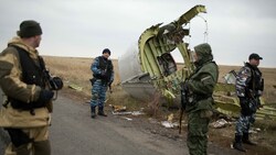 Prorussische Kämpfer bewachen das Wrack des abgeschossenen Flugzeugs (Archivbild November 2014). (Bild: APA/AFP/Menahem KAHANA)