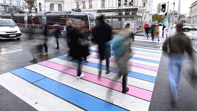 The man was about to cross a crosswalk when an 83-year-old woman collided with him in her car (symbolic image). (Bild: APA/HANS KLAUS TECHT)