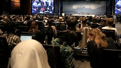 Teilnehmende der UN-Klimakonferenz am Freitag in Sharm el-Sheikh (Ägypten) (Bild: AP Photo/Nariman El-Mofty)