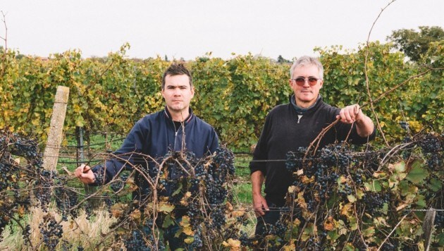 Erich (li.) und Michael (re.) Andert sind gemeinsam „Andert-Wein“ und „Andert im Garten“ (Bild: Ingo Pertramer)