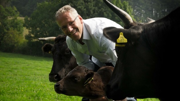 Gerhard Zadrobilek bei seinen Rindern. (Bild: zVg/Zadrobilek)