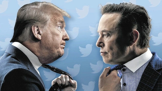 Zwei Männer, die polarisieren: Elon Musk durch die Art, wie er Twitter umkrempelt, Donald Trump durch seinen Politik-Stil (Bild: stock.adobe.com, viennareport.at, AP, Krone KREATIV)
