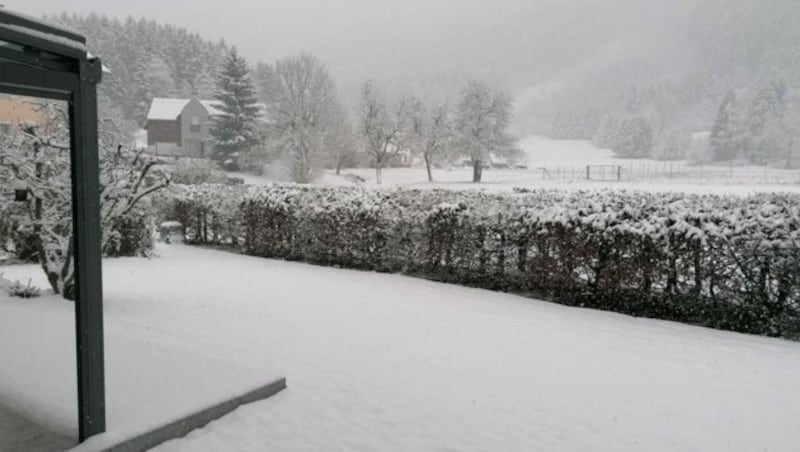 Wintereinbruch in Seltschach im Gailtal (Bild: zVg)