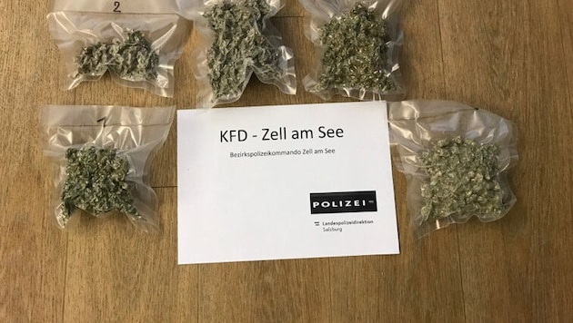 Die Beamten fanden in der Wohnung durch Zufall eine Cannabis-Plantage (Bild: Polizei Salzburg)