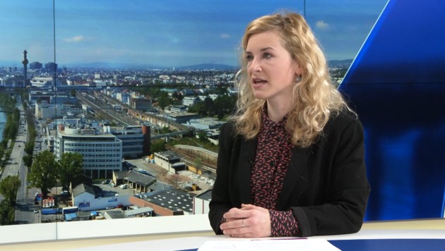 SPÖ-Frauenvorsitzende Eva-Maria Holzleitner (Bild: krone.tv)