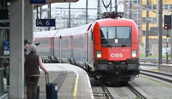 Zumindest zwei Fälle von Bettwanzen gab es in den Zügen der ÖBB. (Bild: Dostal Harald)