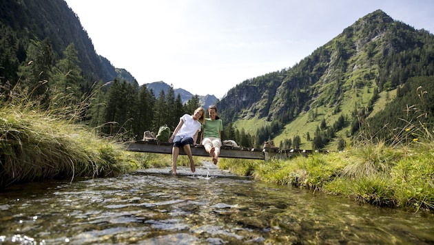 Sommerlicher Genuss im Naturpark Sölktäler. (Bild: Steiermark Tourismus / Tom Lamm)