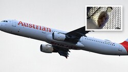 In diesem Airbus A321 wollte eine kleine Maus mitfliegen. (Bild: Patrick Huber, zVg, Krone KREATIV)