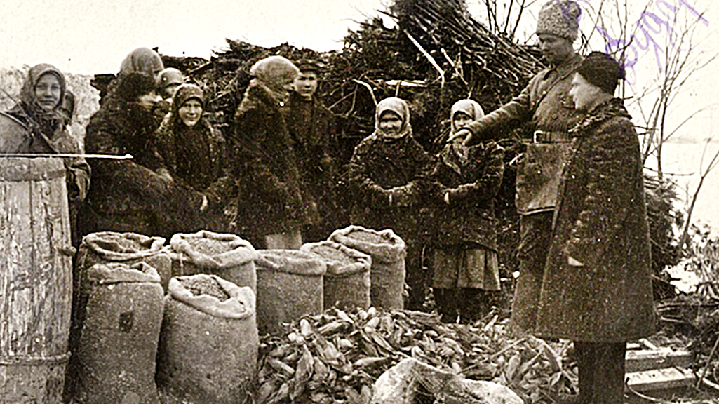 Archivaufnahme aus dem Jahr 1932: Beschlagnahmtes Gemüse in der Ukraine (Bild: wikipedia.org/cdvr.org.ua)
