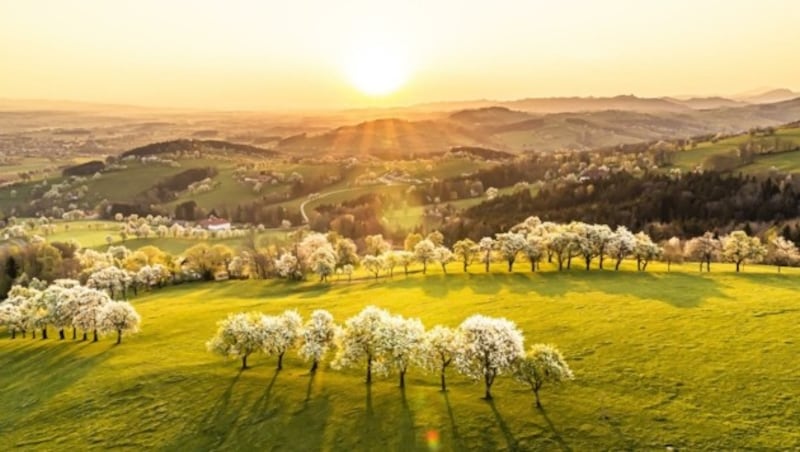 Lohnraub, Ausbeutung, Perspektivenlosigkeit und extreme Ausmaße an Überstunden sind in der Branche keine Seltenheit. (Bild: Robert Herbst – pov.at)