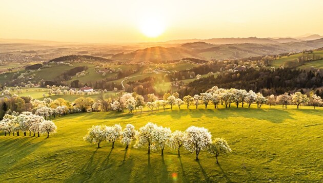 Mit herrlicher Natur kann Niederösterreich zu jeder Jahreszeit bei den Gästen punkten. (Bild: Robert Herbst – pov.at)