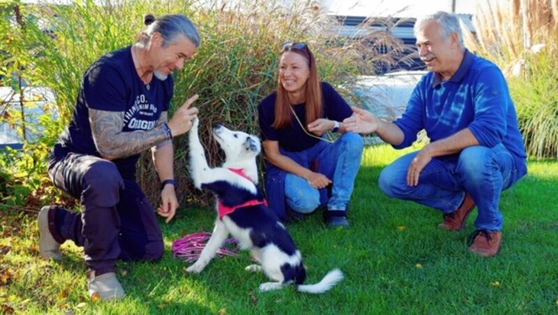 Auch in der Vermittlung und Beratung ist die Tierecke einzigartig: Bei Spezialfällen - wie der tauben Hündin „Minou“ - steht unser Hundeexperte K. Weissenbacher (rechts) mit Tipps zur Seite. (Bild: Klemens Groh)