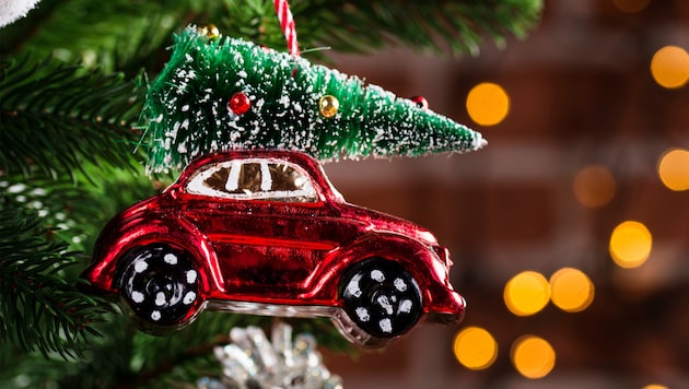 Wie Sie Ihren Christbaum am sichersten transportieren verrät der ÖAMTC.