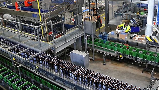 Villach birası gelecekte Graz-Puntigam'da da üretilecek (Bild: Christian Jauschowetz)
