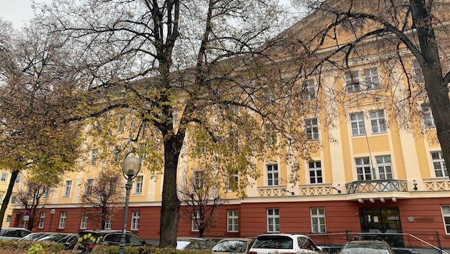 Am Landesgericht in Klagenfurt fand der Prozess am Mittwochvormittag statt (Symbolbild). (Bild: Wassermann Kerstin)