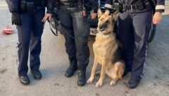 „Kola“ und seine Besitzerin fanden Dank drei eifrigen Polizistinnen wieder zusammen. (Bild: Polizei OÖ)