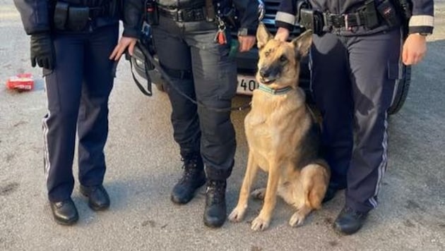 „Kola“ und seine Besitzerin fanden Dank drei eifrigen Polizistinnen wieder zusammen. (Bild: Polizei OÖ)