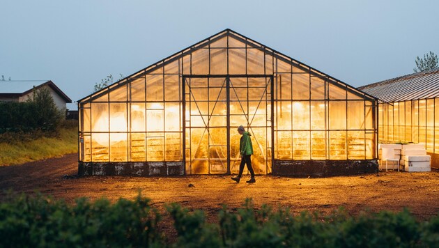 Weil die Energie, um Glashäuser zu heizen, viel zu teuer wird, droht eine Gemüseverknappung. (Bild: Volodymyr - stock.adobe.com)
