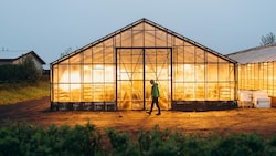 Weil die Energie, um Glashäuser zu heizen, viel zu teuer wird, droht eine Gemüseverknappung. (Bild: Volodymyr - stock.adobe.com)
