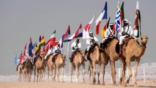 Durante la Copa del Mundo, los camellos sostienen las banderas nacionales.  (Imagen: Copyright 2022 The Associated Press. Todos los derechos reservados)