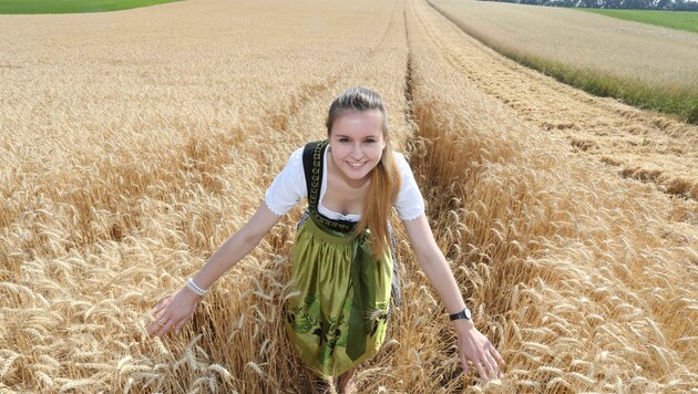 Landwirten im Marchfeld machten die Wetterextreme Sorgen (Bild: Honorar)