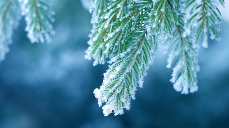 In der Nacht auf Montag zeichnet sich dann in weiten Teilen des Landes mäßiger bis strenger Frost ab. (Bild: Tinka - stock.adobe.com)