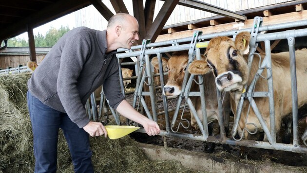 Gut 160.000 Rinder und 80.000 Kälbergeburten gibt es in Salzburg - diese Zahlen sind stabil, jene der Tierärzte nehmen ab (Bild: Christian Jauschowetz)