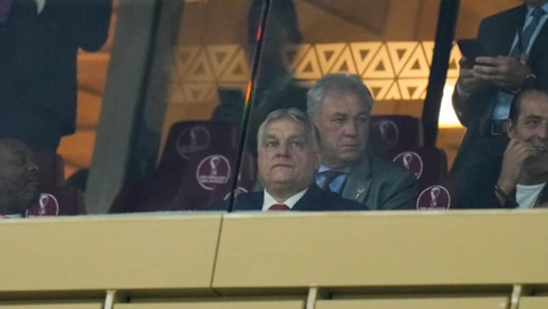 Viktor Orban beim Finale in Doha (Bild: AP/Petr Josek)