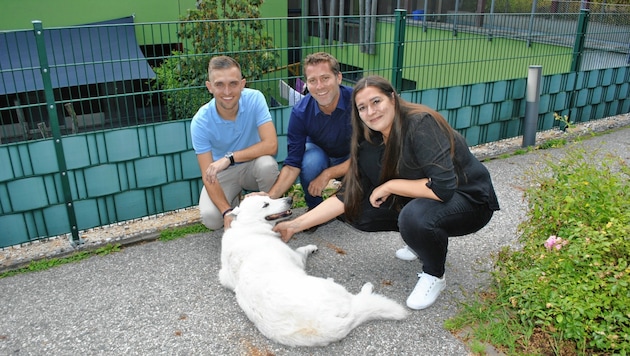 Schon im Sommer wurde der Antrag zum Entfall der Hundesteuer von Rakuscha, Liesnig und Koschier diskutiert. (Bild: Büro Liesnig)