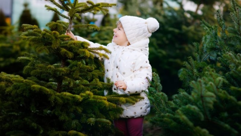 Es wird Zeit für den Baum! (Bild: Irina Schmidt - stock.adobe.com)