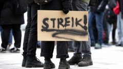 Demonstrierende Schüler in Wien (Bild: APA/TOBIAS STEIMAURER)