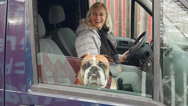 Bulldogge Helmut mit seinem neuen „Frauerl“ (Bild: Pfotenhilfe)