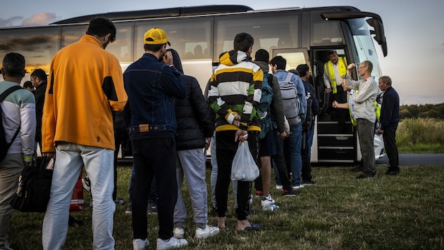 Asylwerber warten, bis sie mit einem Bus in ein Quartier gebracht werden. Die FPÖ regt sich über die hohen Kosten auf. (Bild: Vincent Jannink / ANP / picturedesk.com)