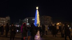 Ein Weihnachtsbaum in den Nationalfarben in Kiew (Bild: mstyslav chernov)