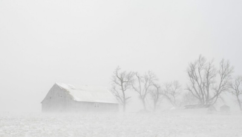 Wenig Sicht in Iowa (Bild: Nick Rohlman/The Gazette via AP)