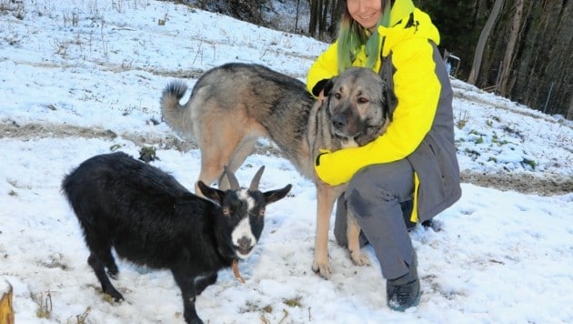 Tochter Syrina hat ein ganz besonderes Verhältnis zu den Hunden. (Bild: Rojsek-Wiedergut Uta)