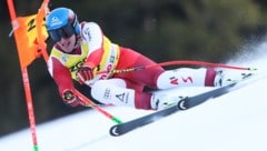 Matthias Mayer ist wieder zurück. (Bild: GEPA pictures)