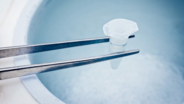 Reagenzglas mit Spermien- oder Eizellenproben (Bild: sola_sola/ stock.adobe.com)