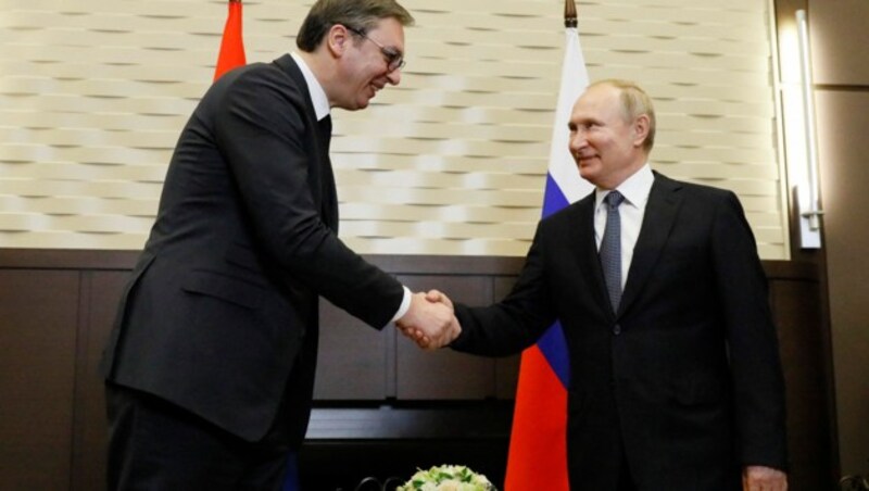 Der serbische Präsident Aleksandar Vucic und sein Amtskollege Wladimir Putin sind enge Verbündete (Archivbild). (Bild: APA/AFP/POOL/SHAMIL ZHUMATOV)