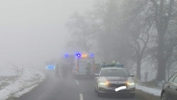 Ein Mann, der laut ersten Informationen aus der Ukraine stammen soll, hat den Unfall nicht überlebt. (Bild: FF Ebenthal)